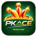 PKACE Game Logo