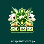 E999 Game Icon
